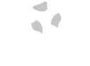 Logo Groupe Pigeon