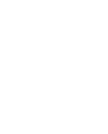 Stade Brestois 29